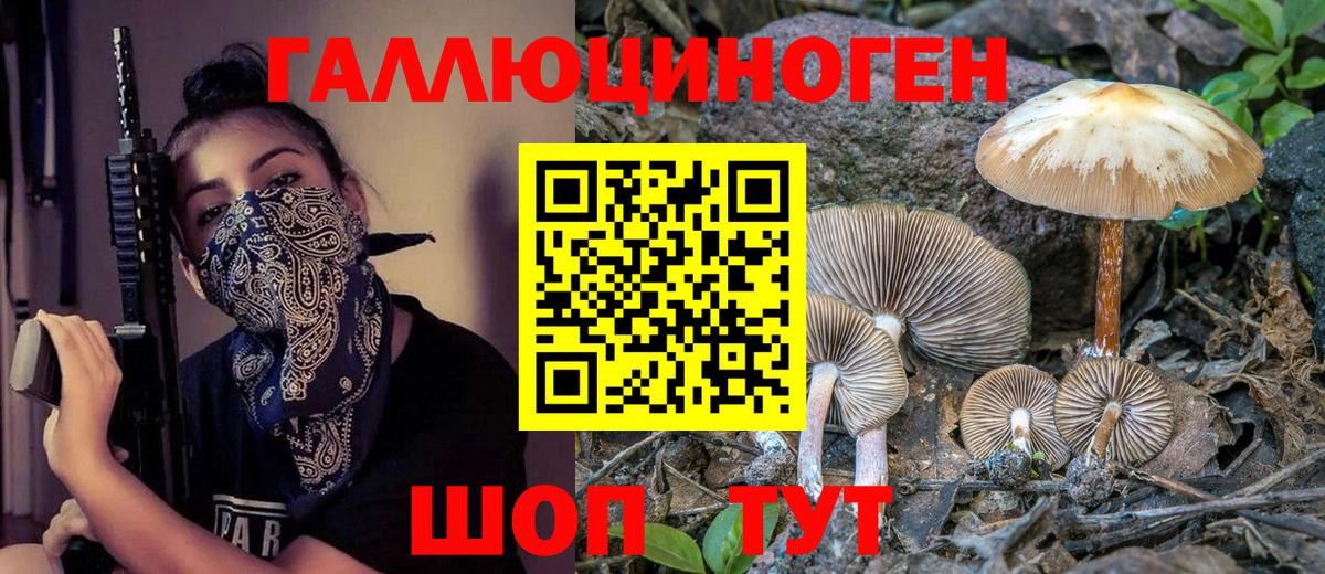 Южно-Сахалинск  Галлюциногенные грибы GOLDEN TEACHER  Псилоцибиновые грибы Cubensis  Вход с VPN 