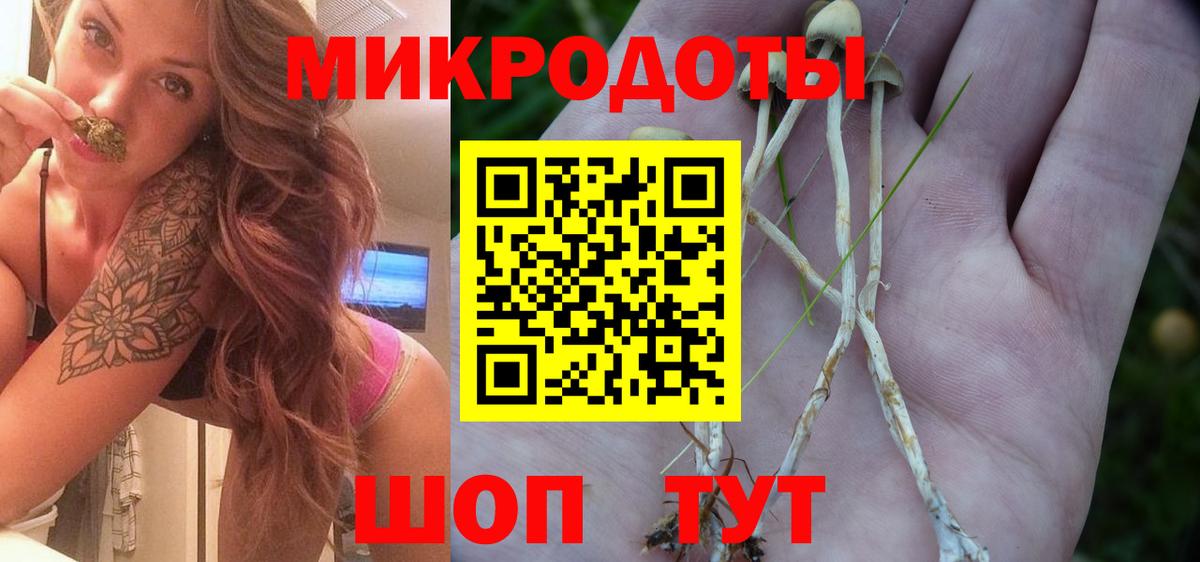 Псилоцибиновые грибы ЛСД Южно-Сахалинск